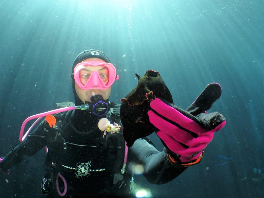 SSI Try Scuba Diving in the sea - Your in-water session: calm, supervised, and capped at 5 meters