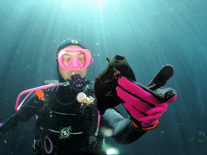 SSI Try Scuba Diving in the sea - The Malta timing that shapes your whole day: 3 PM, Monday to Friday