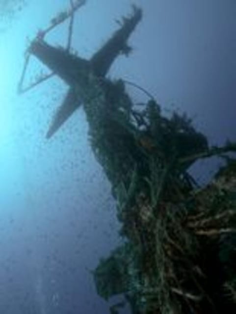 St Julians: Discover Scuba Diving Experience - Safety briefing and gear check: what you learn before you go under
