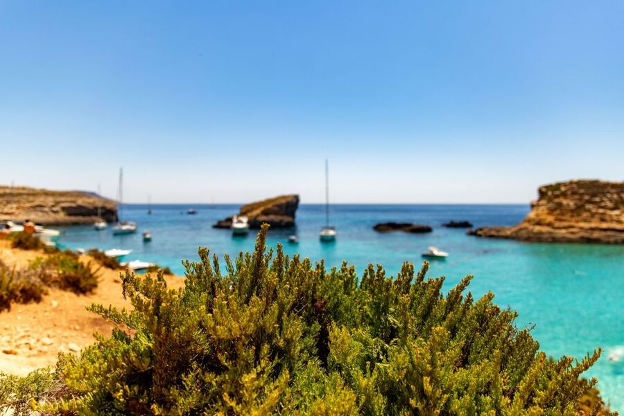 St Paul's Bay: Comino, Blue Lagoon, Gozo, & Caves Boat Tour - Weather can change the day, and that’s normal here