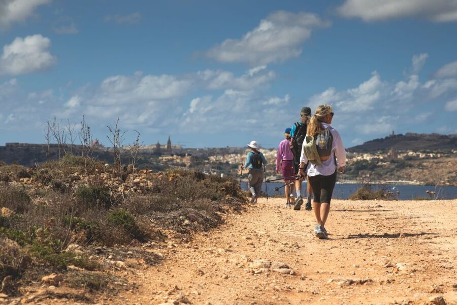 St. Paul's Bay: Gozo, Comino & St. Paul's Bus & Boat Tour - Who should book this tour, and who should skip it