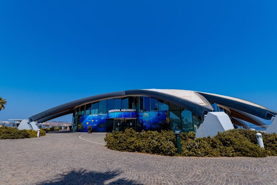 St Paul's Bay: Malta National Aquarium Entry Ticket - Key things to notice before you go