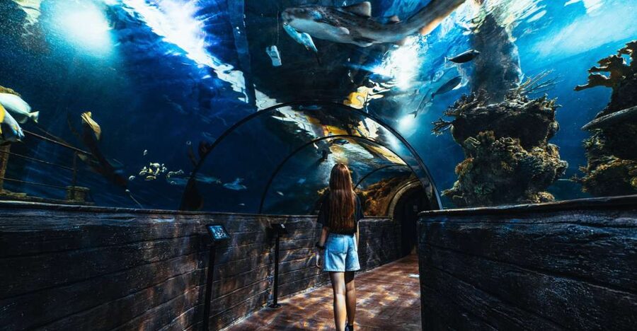 St Paul's Bay: Malta National Aquarium Entry Ticket - Malta-themed habitats that turn local landmarks into underwater stories