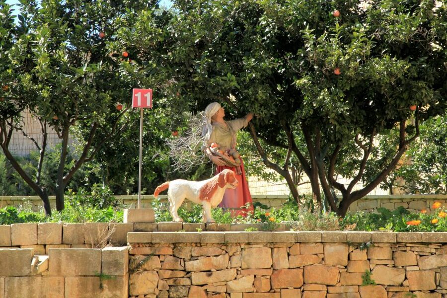 The Limestone Heritage Park and Gardens (Entry Ticket) - Who this experience suits best