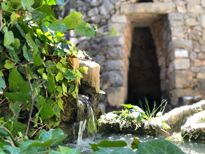 The Limestone Heritage Park and Gardens (Entry Ticket) - Audio-visual presentation: the fastest way to understand what you’re seeing