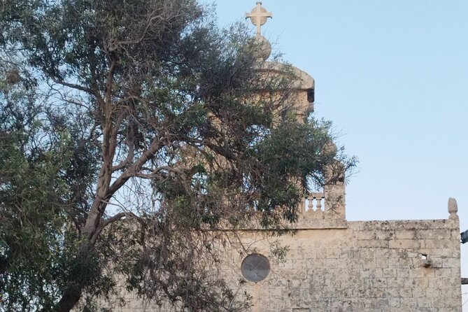 The Village Experience Tour - Food and wine moments: how Ġanni turns tastes into context