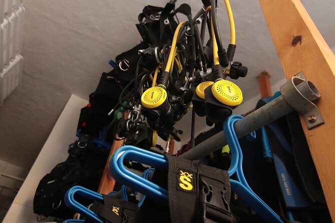 Two Morning Dives in Gozo for Certified Diver - Why Gozo in the morning, and what makes two shore sessions work