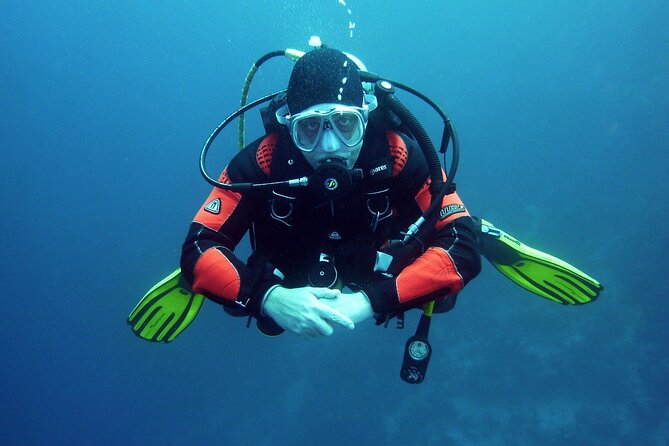 Two Morning Dives in Gozo for Certified Diver - Second session in the same Gozo area, then logbook sign-off