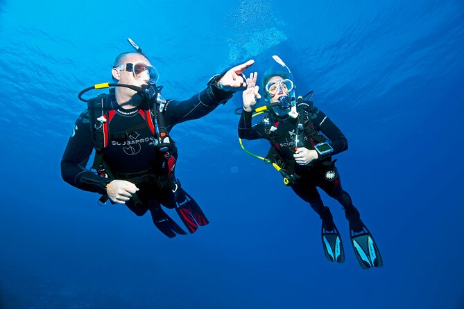 Two Morning Dives in Gozo for Certified Diver - Gear, instructors, and safety habits that feel real