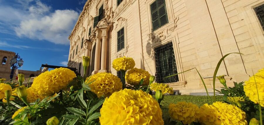 Valletta: City Walking Tour in a Small Group - The squares that define power, faith, and Malta’s mixed identity
