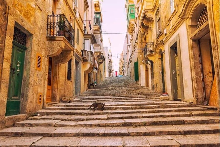 Valletta : Highlights & Hidden Gems Walking Tour - Auberge stop and the Museum of Fine Arts thread