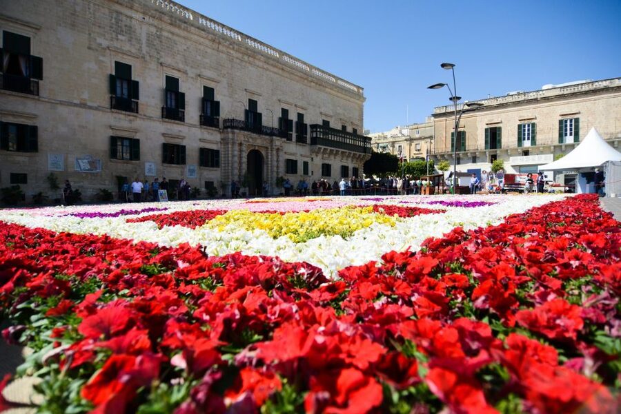 Valletta: Street Food and Culture Walking Tour - Key highlights I’d circle on your Malta trip