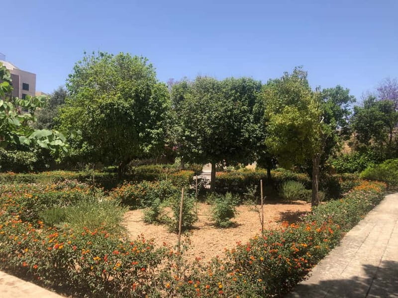 Visit Tarxien Temples, Kalanka Bay, Blue Grotto, Marsaxlokk - Key takeaways before you go